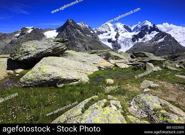 Piz Tschierva, 3546 m, Piz Bernina, 4049 m, Biancograt, Piz Roseg, 3937 m, Graubuenden, Switzerland, Europe