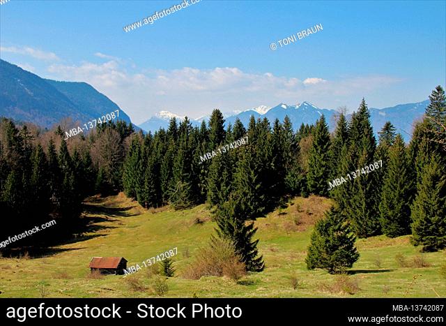 Pre-Alpine landscape against Estergebirge, Zugspitzgruppe (2962m) and Ammergau Alps near Ohlstadt, Das Blaue Land, Upper Bavaria, Bavaria, Germany, Loisachtal