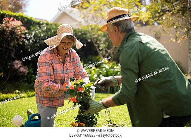 Smiling senior couple holding plants in yard