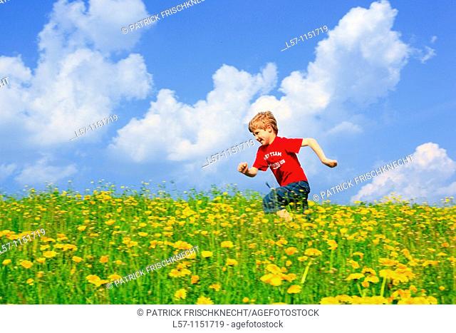 boy running through field of Dandelions, Zuercher Oberland, Zuerich, Switzerland