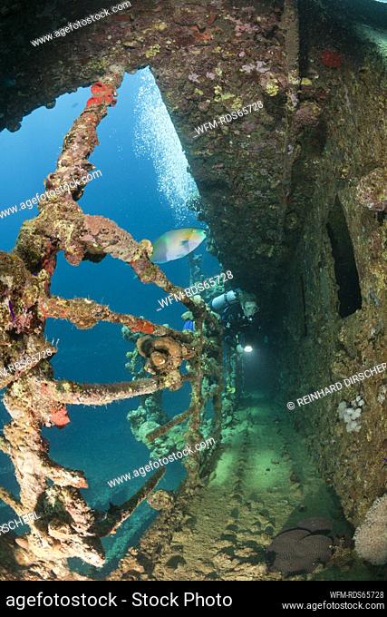 Scuba Diver at Umbria Wreck, Wingate Reef, Red Sea, Sudan