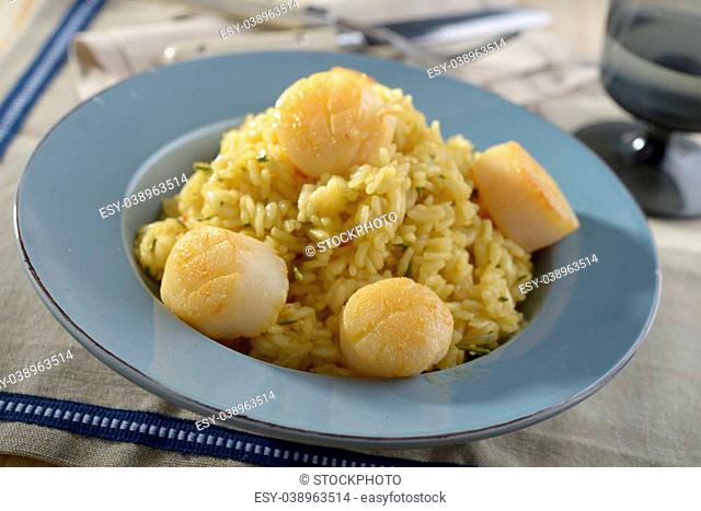 Risotto with scallops on a plate