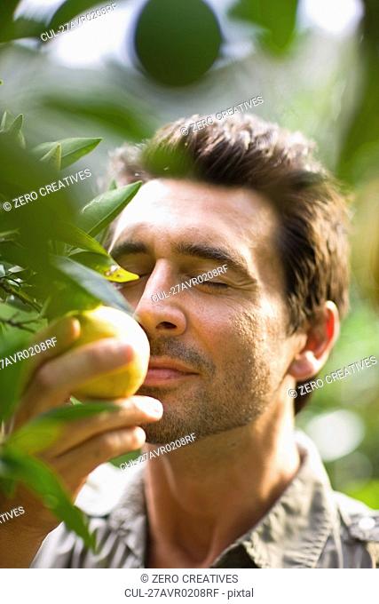 Man smelling at orange