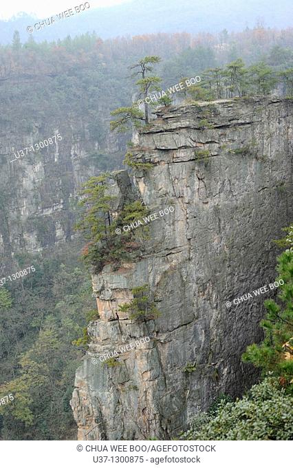 Mount Tianzi, Zhangjiajie National Forest Park, Zhangjiajie, Hunan, China