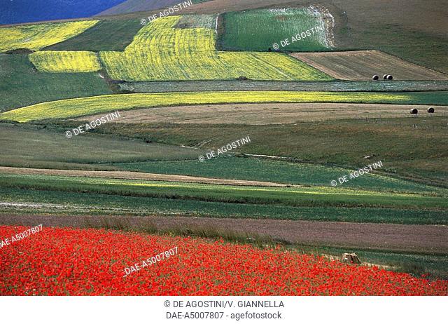 Pian Piccolo plain and flowering meadows, Monti Sibillini National Park, Umbria, Italy
