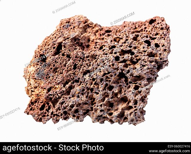 closeup of sample of natural mineral from geological collection - rough brown Pumice rock isolated on white background