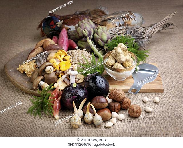An arrangement of white truffles, various mushrooms, aubergines and game birds