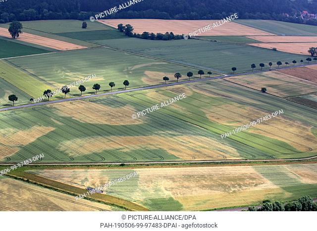FILED - 20 June 2018, Lower Saxony, Hammenstedt: The aerial photo from an airplane shows dry damage on a grain field in southern Lower Saxony