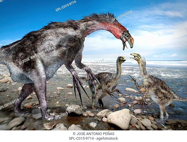 Nothronychus dinosaur family, artwork. This theropod dinosaur, found in what is now North America some 91 million years ago, lived during the Cretaceous