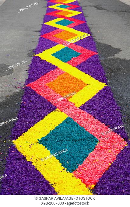 Flower carpets made from artificially colored wood shavings. Sao Miguel, Azores islands, Portugal