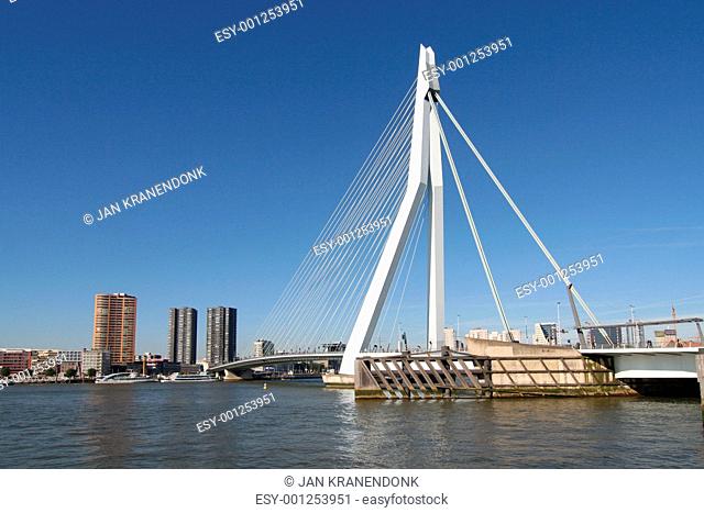 Erasmusbridge in Rotterdam