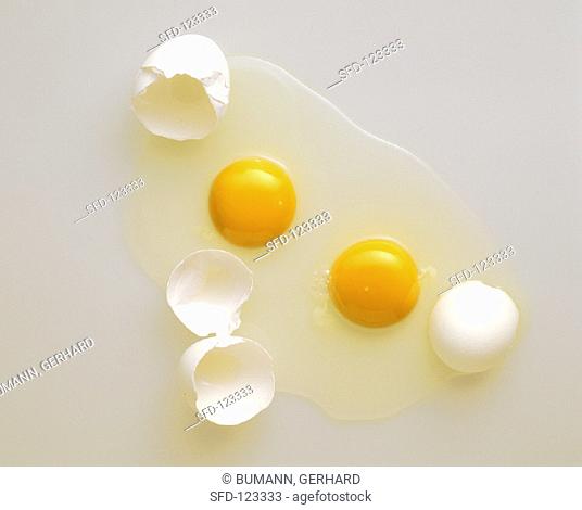 Two White Eggs Cracked Open with Shells