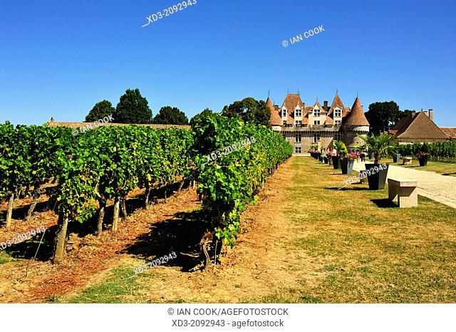 vineyards at the Chateau de Monbazillac, Dordogne Department, France