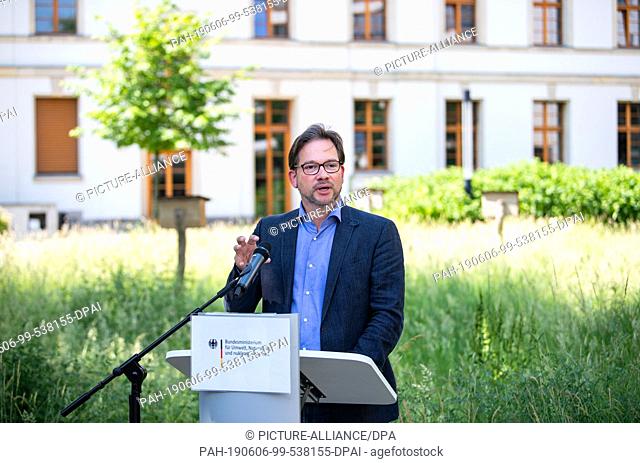 06 June 2019, Berlin: Florian Pronold (SPD), Parliamentary State Secretary in the Federal Ministry for the Environment, Nature Conservation and Nuclear Safety