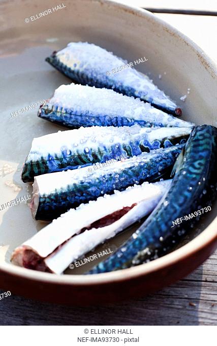 Close up of salted mackerels in bowl