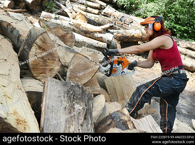 09 August 2022, Saxony, Eisenhammer: In her Eisenhammer charcoal workshop in the Düben Heath, charcoal burner Norma Austinat uses a chain saw to cut beech logs...