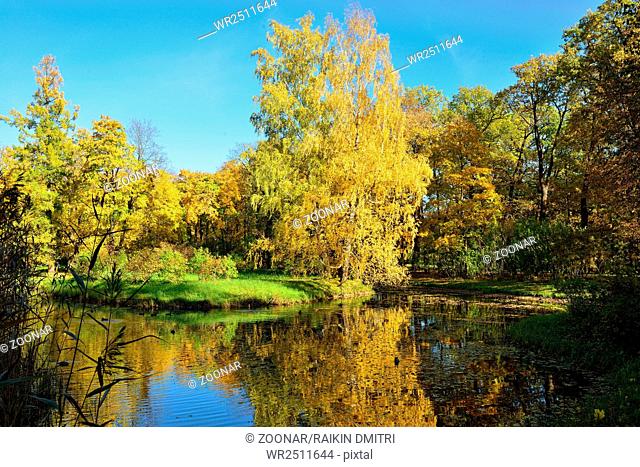 Autumn landscape with pond in Pushkin
