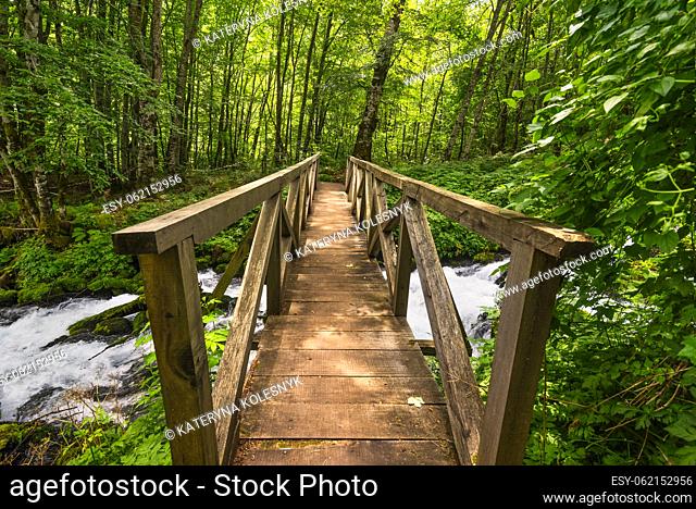 Wooden bridge over fast mountain river in nature resort of Montenegro