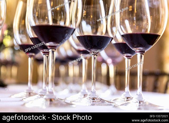 Glasses of red wine on a table, Lageder vineyard, South Tyrol