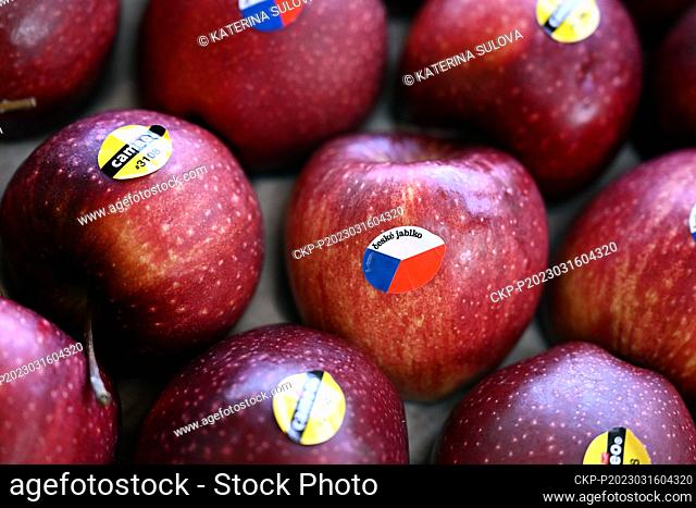 The loss of Czech fruit growers from last year's apple harvest will reach around Kc250m, which is due to the drop in farm prices of apples and the significantly...