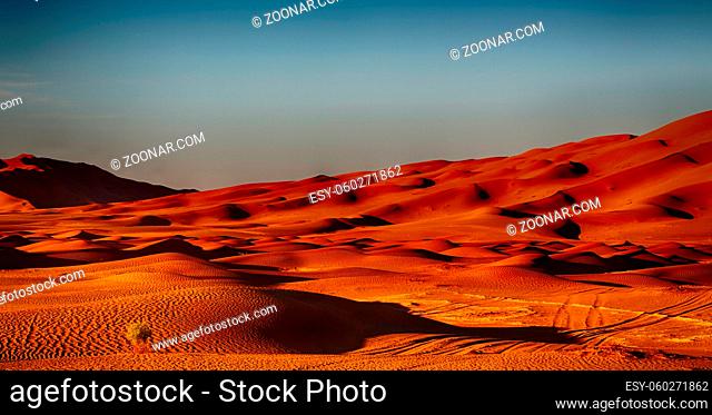 the empty quarter and outdoor sand dune in oman old desert rub  al khali