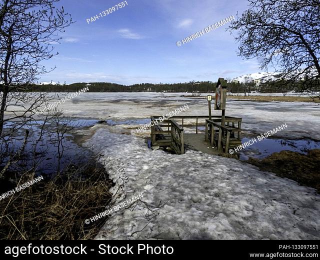 late spring at lake Prestvannet, june 2020 | usage worldwide. - Tromsö/Troms/Norway