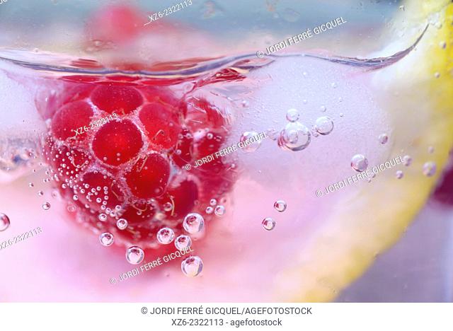 Close up detail of a gin and tonic with wild raspberries
