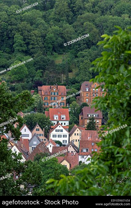 Houses surrounded by nature in a residential area from the german city Schwabisch Hall