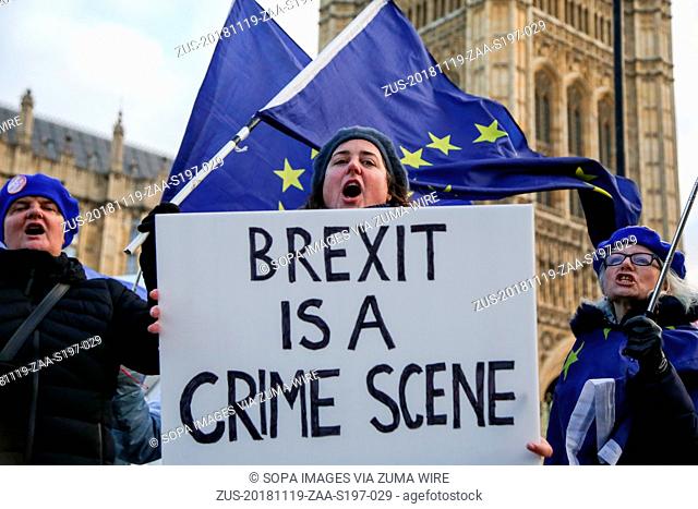 November 19, 2018 - London, United Kingdom - Pro-EU protester seen holding a placard during the protest..Pro-EU protesters from SODEM (Stand in Defiance...