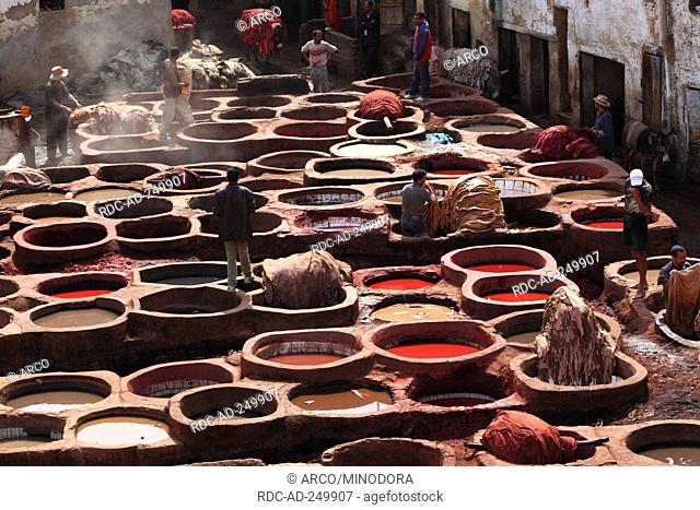Basins for dyeing Dyeing quarter Fes morocco
