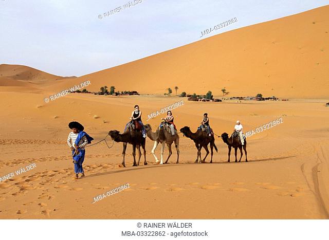 Africa, Morocco, Merzouga, Erg Chebbi, Sahara, man leads caravan