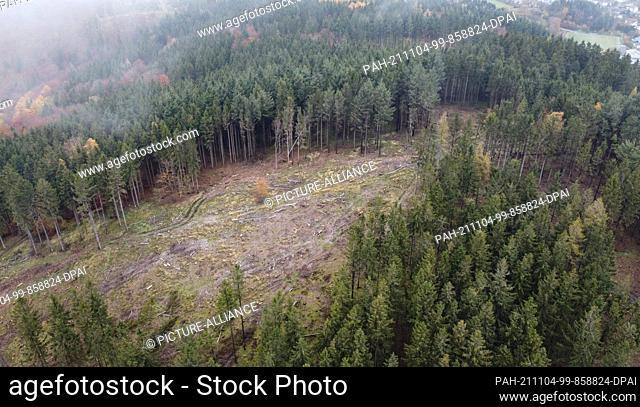 PRODUCTION - 02 November 2021, Hessen, Schmitten: A clearing is seen in the Hochtaunus near Schmitten in a forest patch with beech and spruce trees (aerial view...