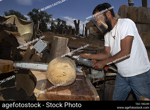 TEOTIHUACAN, MEXICO - MARCH 11: Craftsman Juan José Aguirre Aguilar, wears face shield while cuts a log of wood with an electric saw