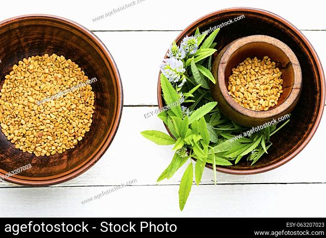 Fenugreek, as a spice and as an alternative medicine. Homeopathic herbs