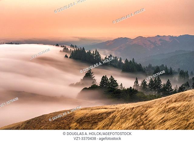 Coastal fog below Mount Tamalpais at Sunset Marin County CA USA