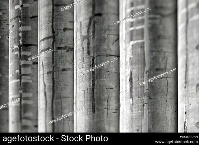 Weathered corrugated metal close-up