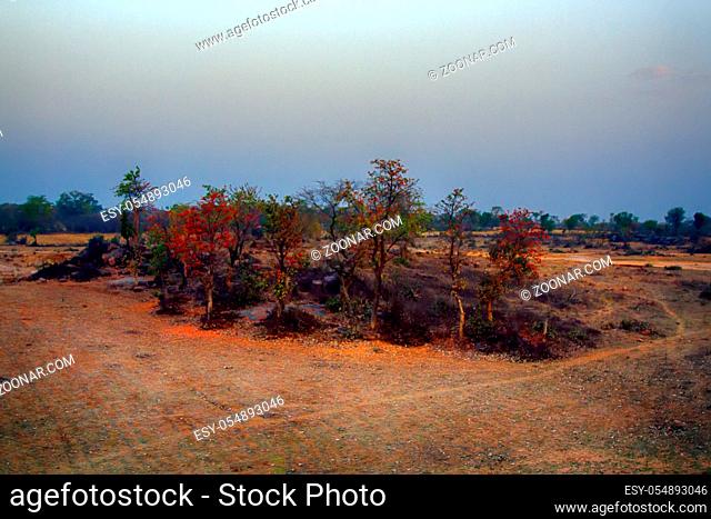 Indian agriculture. Fields and wastelands burned after harvest, grassland fire, agricultural burning, prescribed forest fire
