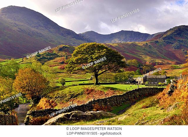 An autumn view of the Langdale Valley