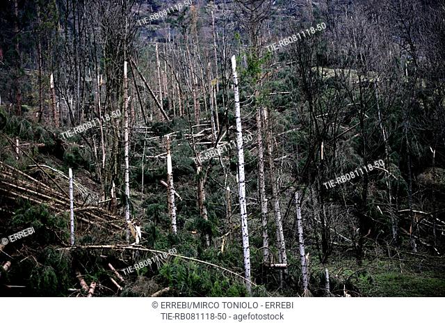 Damage caused by severe bad weather in Italy, Belluno area - 08 Nov 2018