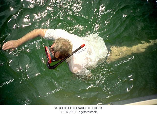 Man swimming with snorkel and mask. Slite harbor on the island of Gotland, Sweden