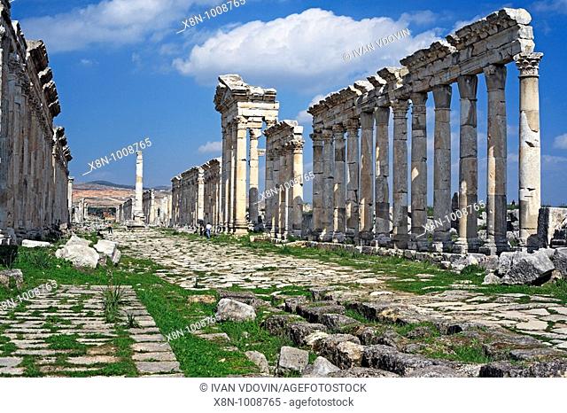 Roman city Apamea, Syria