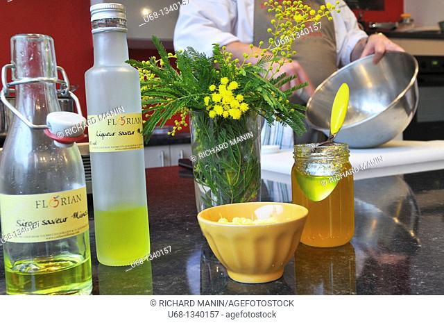 Chef Yves Terrillon made a cuisine based on mimosa, Pont du Loup village, Alpes-Maritimes, France