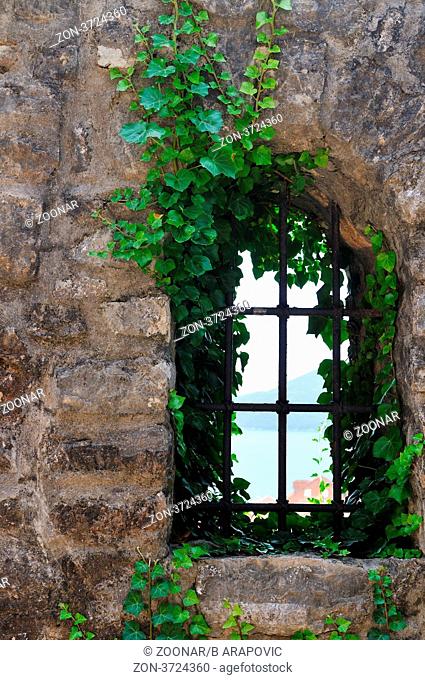window old plant background with stone wall
