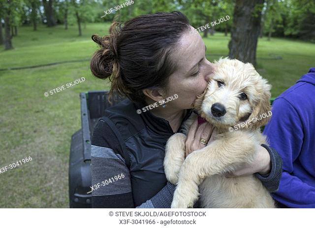 A hug and a kiss for the reluctant Goldendoodle puppy from his new master. Clitherall Minnesota MN USA