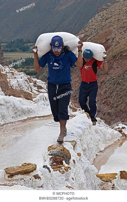 workers hauling bags of salt at salt ponds Salinas De Maras, Peru, Cusco