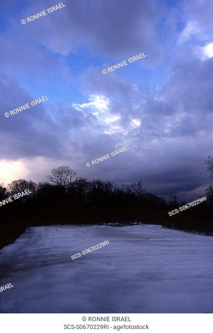 Cover meadow in snow Hampstead Heath, London, UK