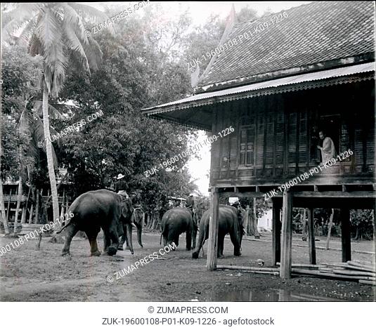 1968 - Returning from their day's work hauling teak logs, the team of elephants is wathced from a temple by a monk. Most riverside dwellings are built on...