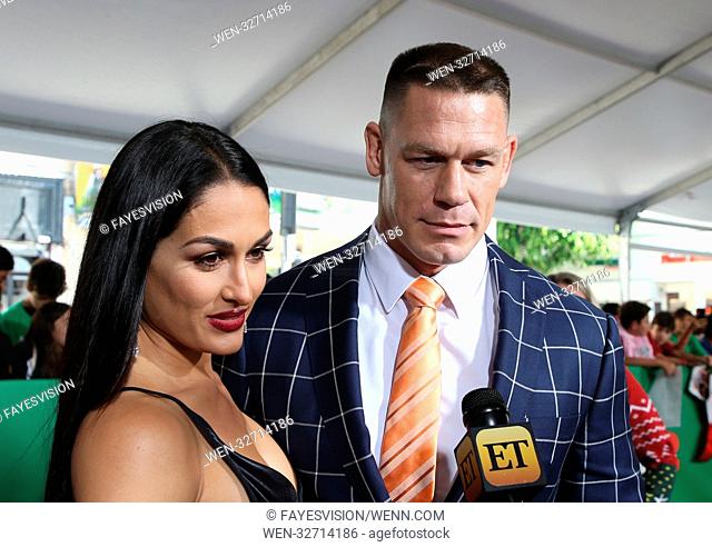 Premiere Of Paramount Pictures' 'Daddy's Home 2' Featuring: Nikki Bella, John Cena Where: Los Angeles, California, United States When: 05 Nov 2017 Credit:...