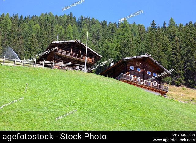 Mountain farm on the steep mountain slope in the mountain meadows in the South Tyrolean Ulten Valley