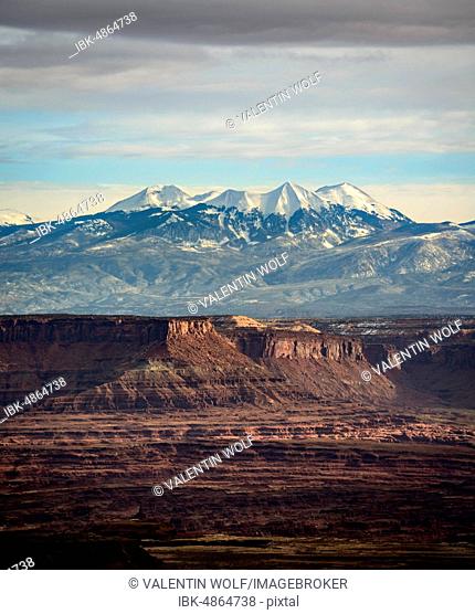 View from Grand View Point to La Sal Mountains, La Sal Range, Island in the Sky, Canyonlands National Park, Moab, Utah, USA